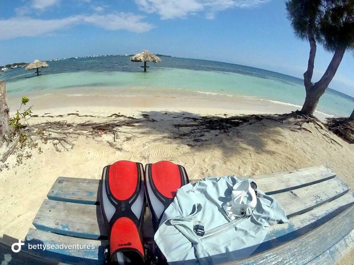 The Venue - Utila Hostel ภายนอก รูปภาพ